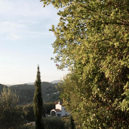 B&B La Fustaia Sarzana Buitenkant foto